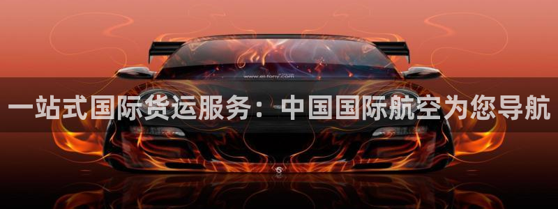 okpay钱包安卓下载：一站式国际货运服务：中国国际航空