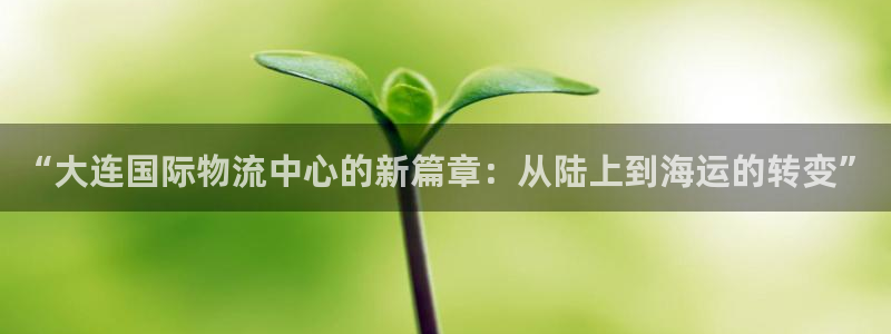 okpay钱包下载地址：“大连国际物流中心的新篇章：从陆
