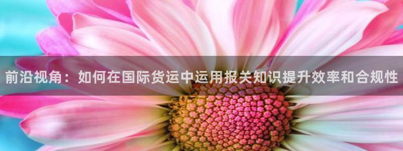 okpay钱包正规吗：前沿视角：如何在国际货运中运用报关