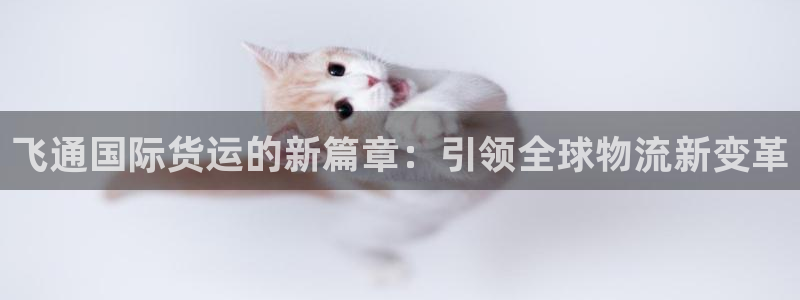 okpay钱包地址怎么查询：飞通国际货运的新篇章：引领全