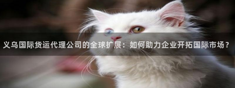 okpay钱包是啥：义乌国际货运代理公司的全球扩展：如何