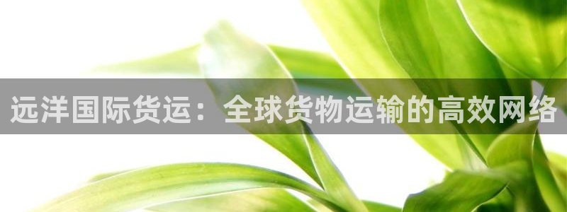 okpay数字钱包：远洋国际货运：全球货物运输的高效网络