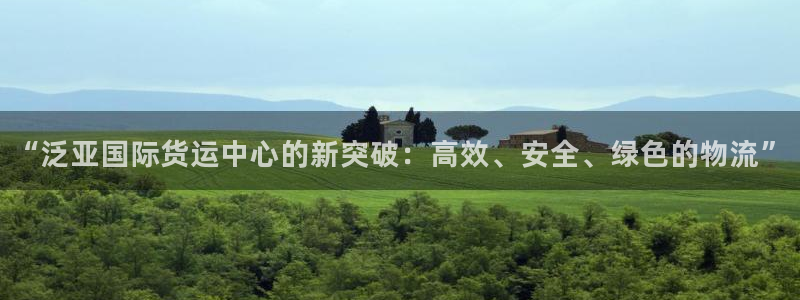 okpay钱包在中国合法吗：“泛亚国际货运中心的新突破：