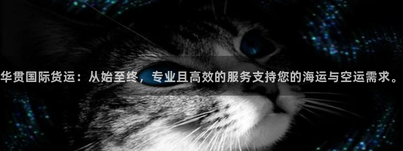 okpay钱包靠谱吗：华贯国际货运：从始至终，专业且高效