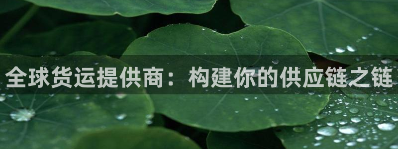 okpay钱包gopay哪个好：全球货运提供商：构建你的