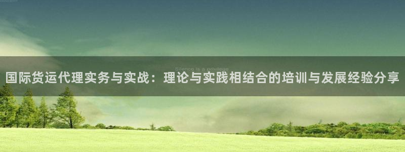 okpay777钱包最新版本：国际货运代理实务与实战：理