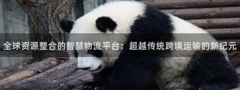 okpay钱包正规吗：全球资源整合的智慧物流平台：超越传