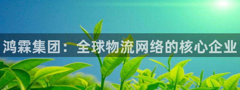 okpay钱包旧版本