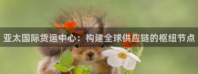 okpay钱包888