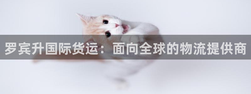 okpay钱包客服