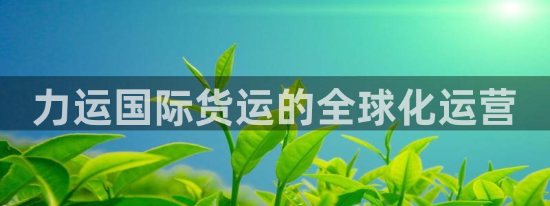 okpay钱包充值