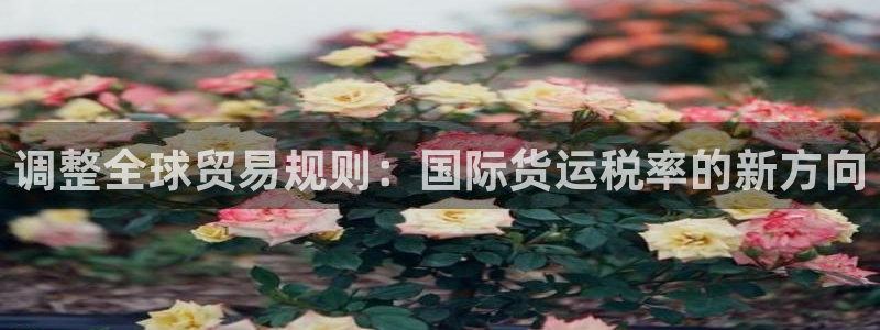 okpay钱包好用吗