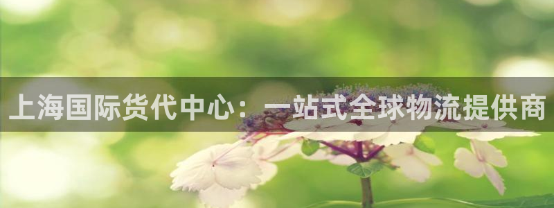 okpay钱包下载网址