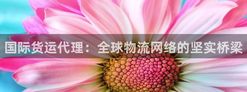 okpay钱包下载手机版