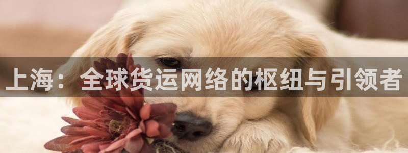 okpay钱包安卓下载